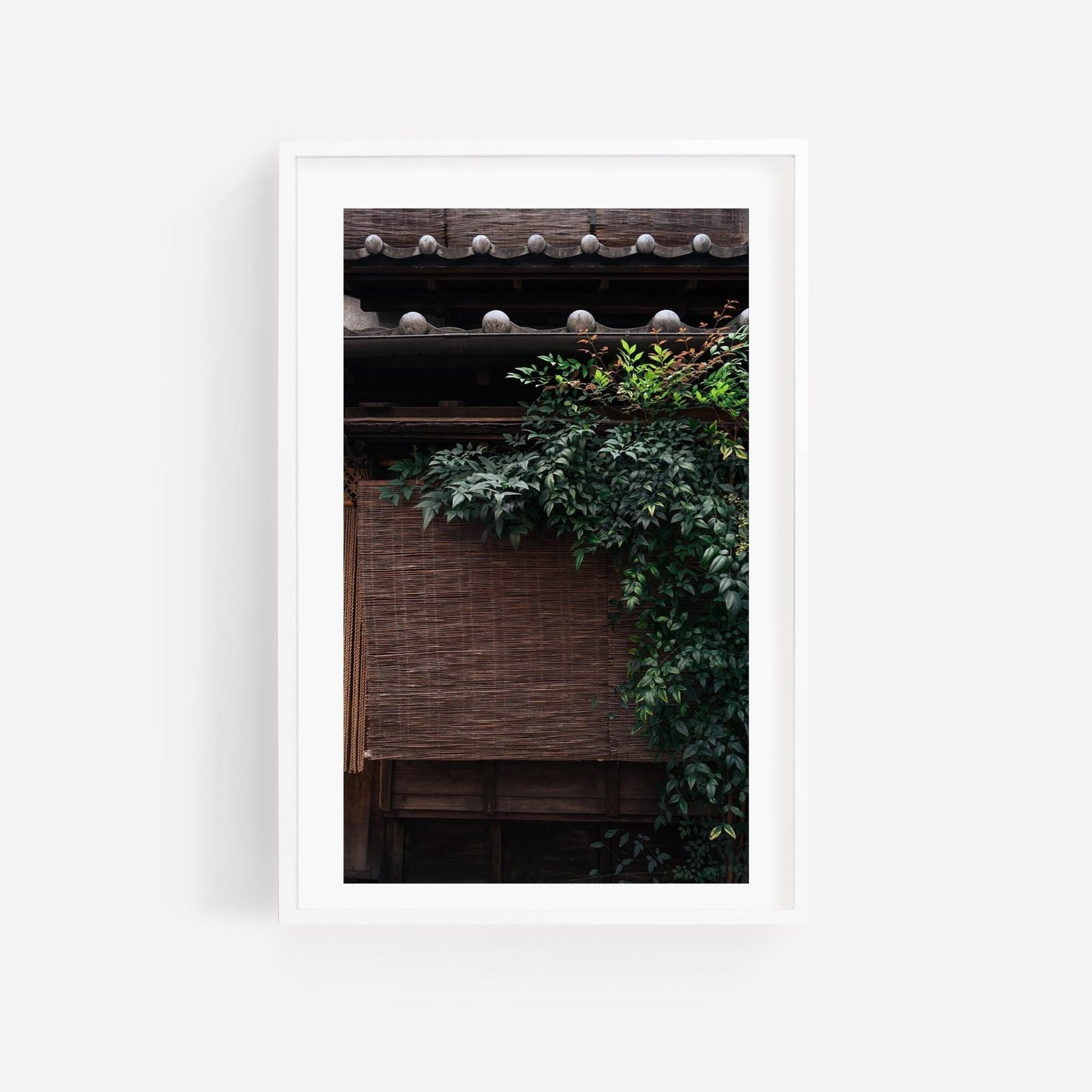 Framed photo titled Kagurazaka Essence features a traditional Japanese building adorned with a bamboo blind and leafy green vines.