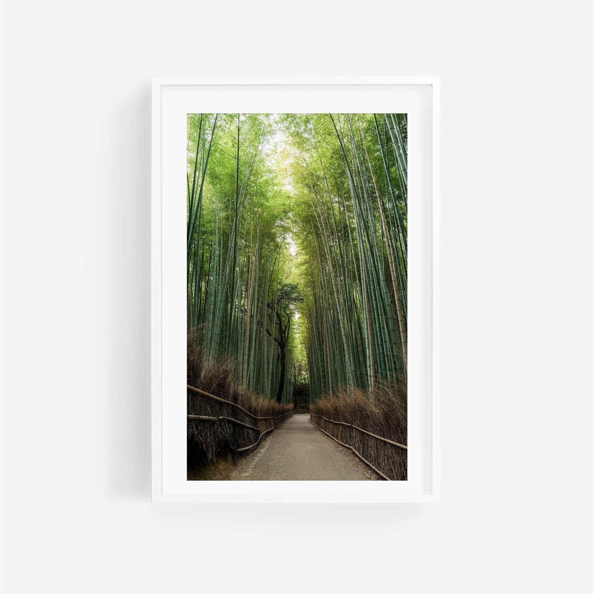 Photography print of Japan's Arashiyama bamboo forest in white frame.