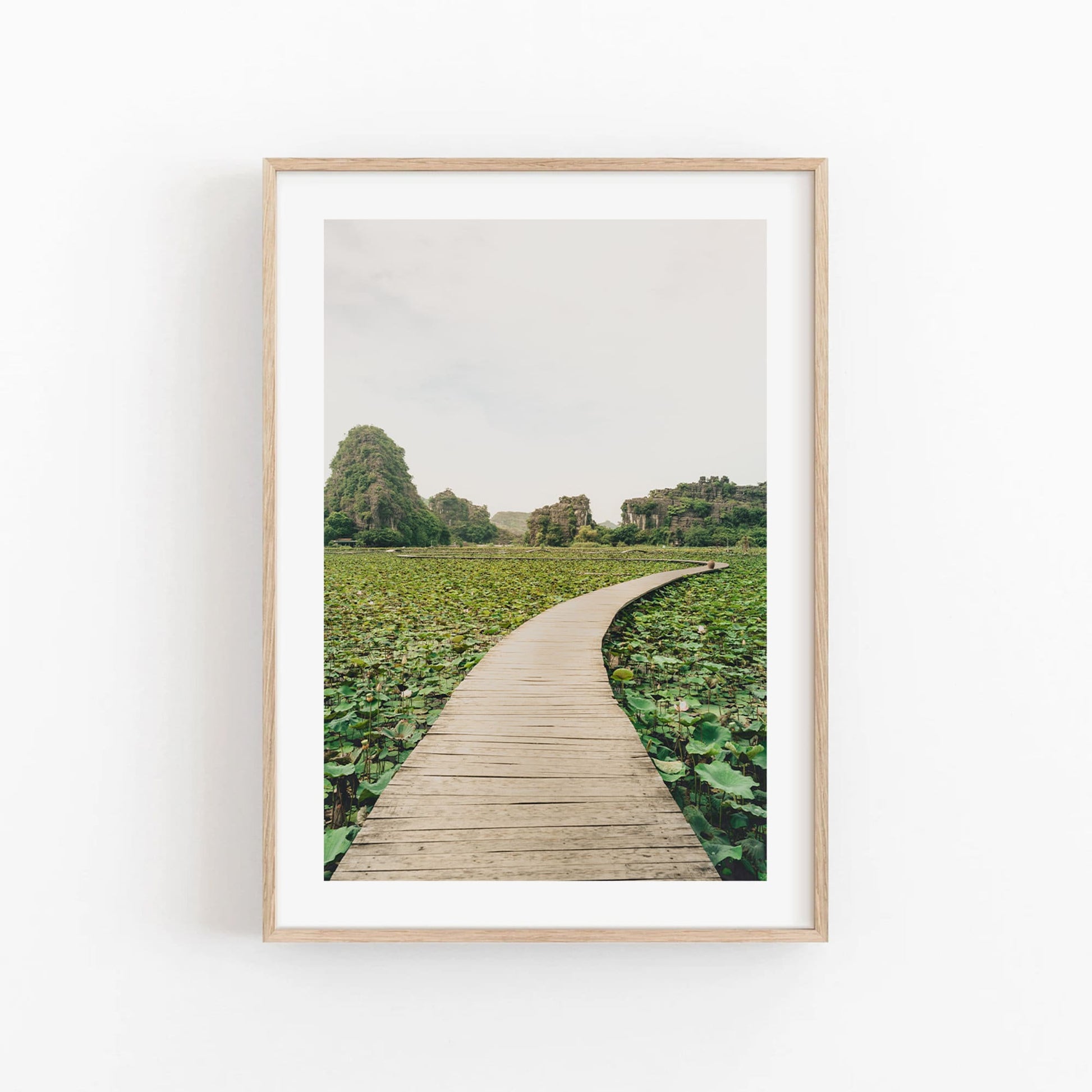 Lead the Way: A framed photo of a wooden path winding through a lotus field with rocky hills and a cloudy sky in the distance.