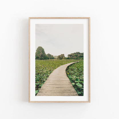 Lead the Way: A framed photo of a wooden path winding through a lotus field with rocky hills and a cloudy sky in the distance.