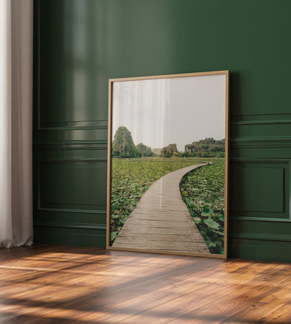 Lead the Way: A framed landscape photo featuring a wooden path over water, set against a dark green wall with light streaming in.