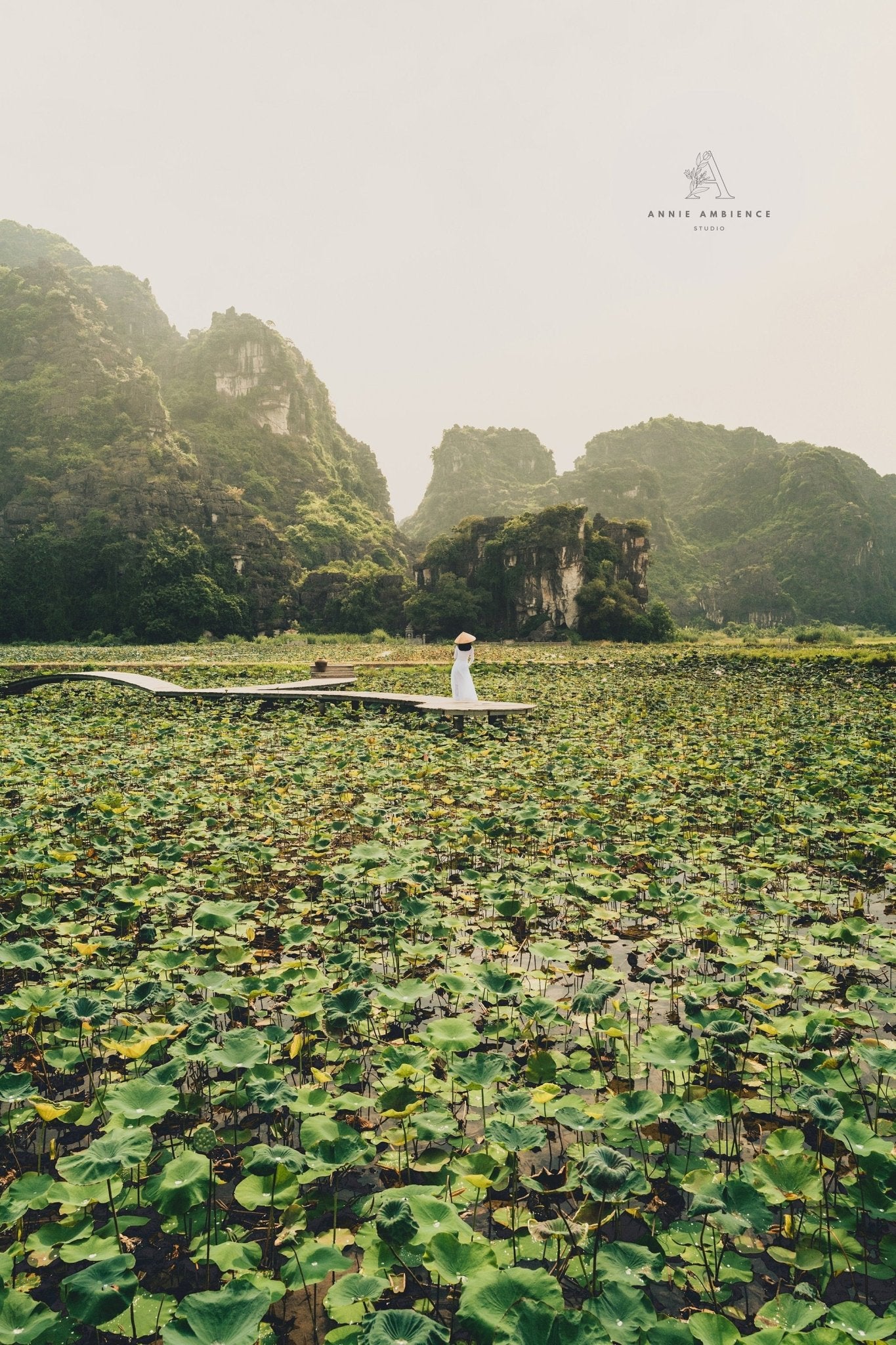 Lotus Lady Vietnam - Annie Ambience