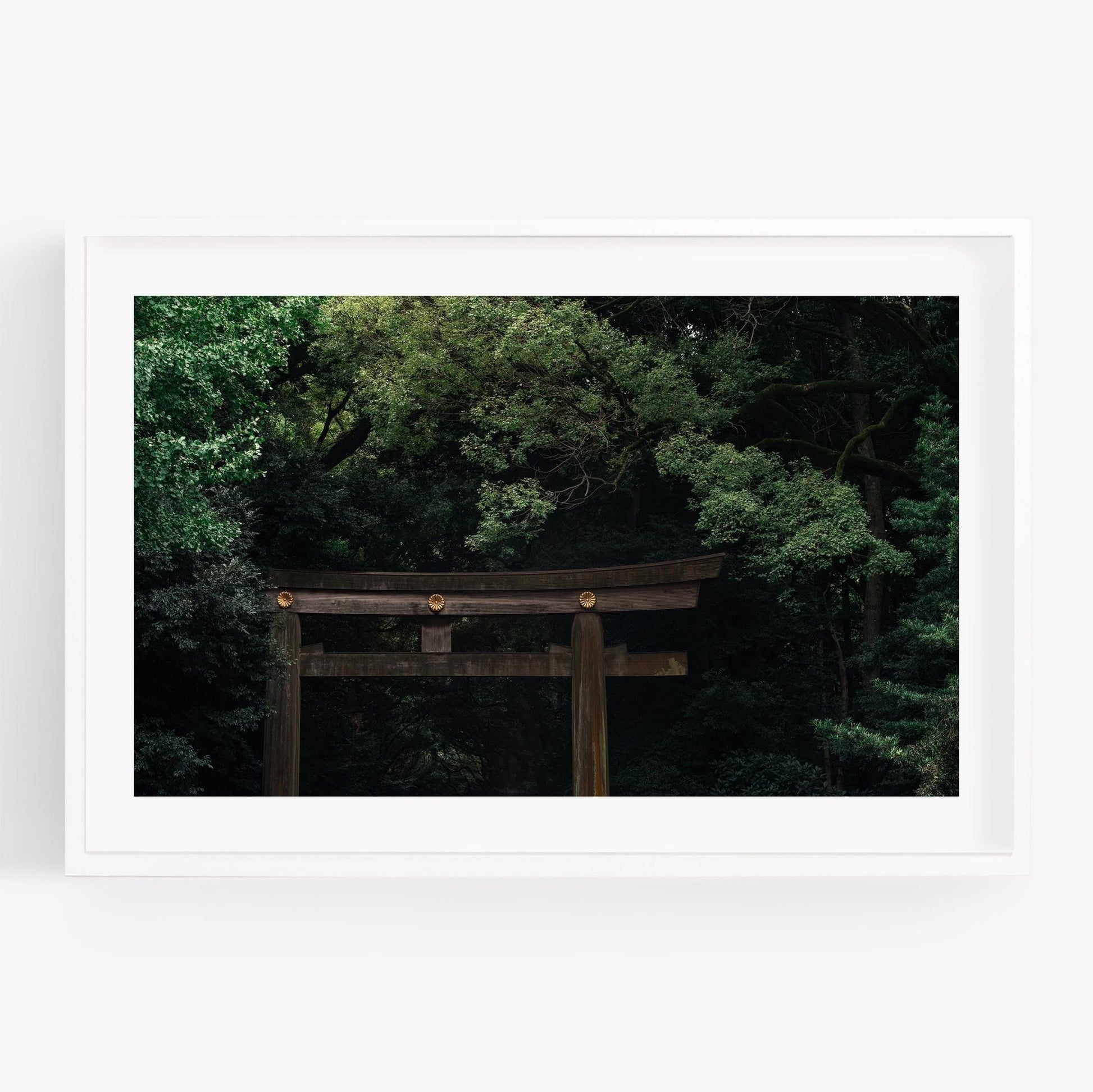 The Meiji Jingu Shrine print features a wooden torii gate surrounded by dense, green foliage.