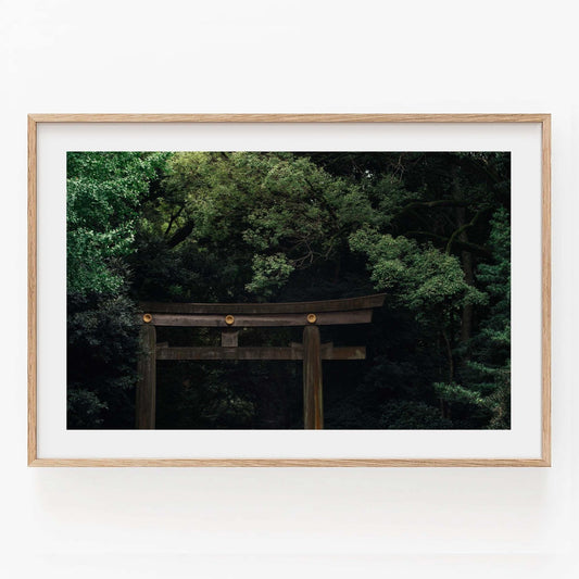 Framed photo titled Meiji Jingu Shrine, featuring a torii gate amid lush green trees.