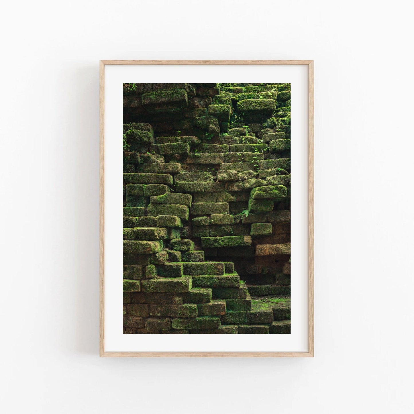 Mossy Elegance: Framed picture of ancient stone steps covered in moss on a white background.