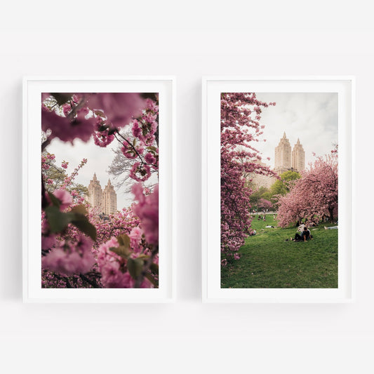 NYC Cherry Blossoms - Set of 2: Framed photos of pink blossoms, city buildings, and people relaxing on green grass.