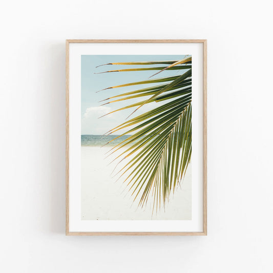 Palm Leaf Ocean, Beach, and Surf - Annie Ambience