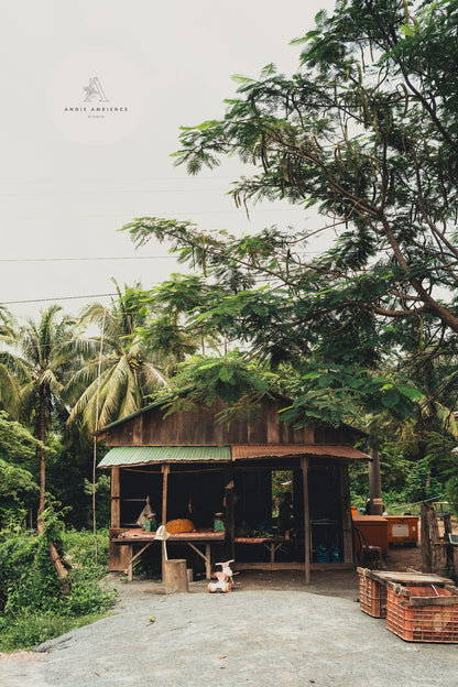 Rural Shop Cambodia - Annie Ambience