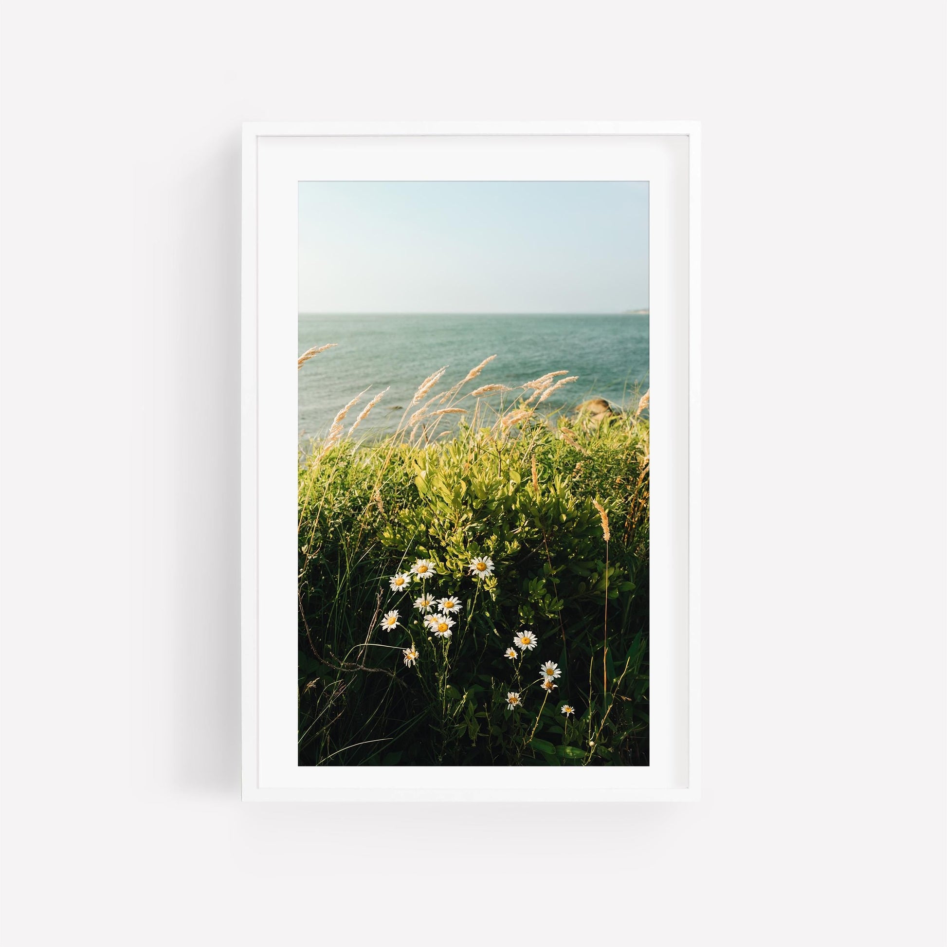 Cape Cod New England Coastal Wall Art, Coastal Botanical Fine Art Photography, Modern Wildflower Scenic Bay Prints, MA Summer Beach Decor