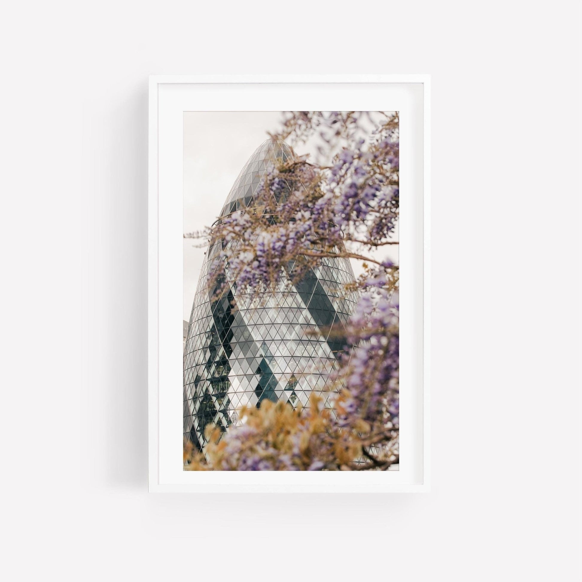 Framed photo of The Gherkin partially obscured by blooming wisteria.