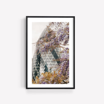 Framed photo of The Gherkin with purple flowers in the foreground.