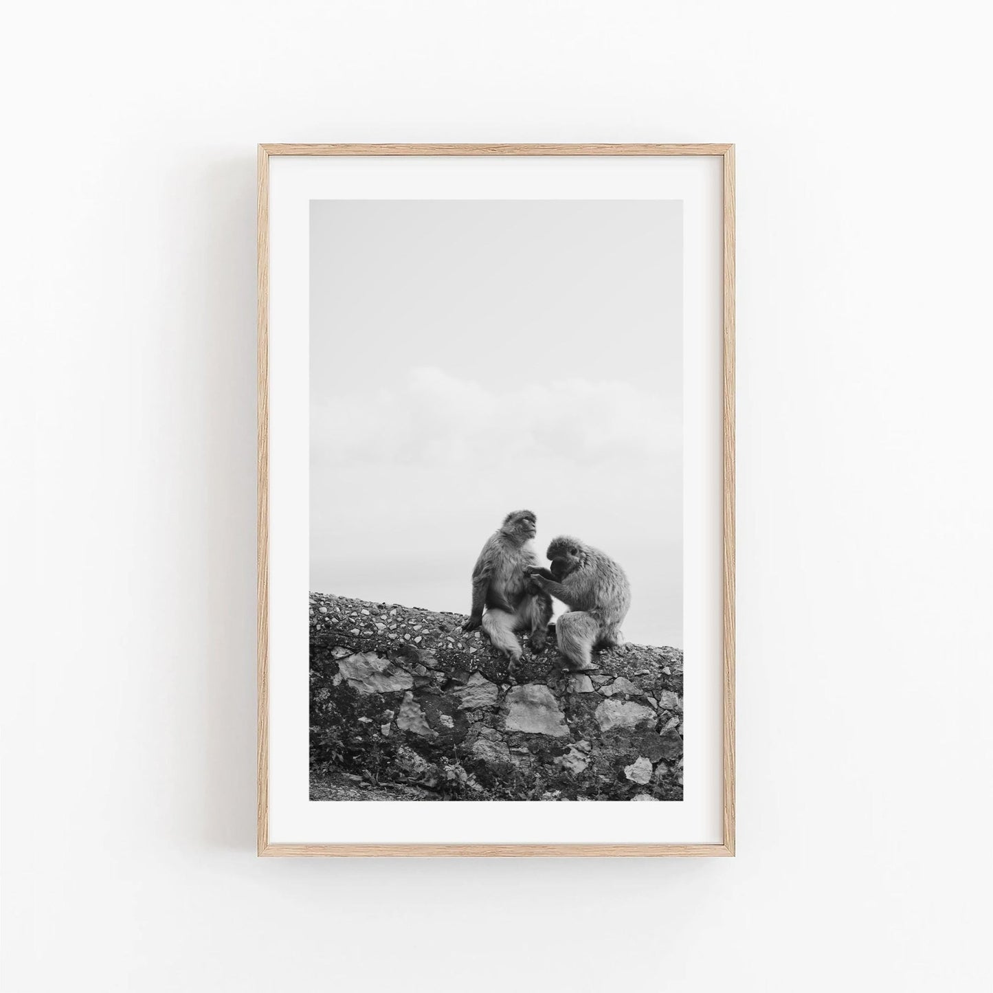 Two Monkeys Black and White photo, light wood frame, hung on a white wall.