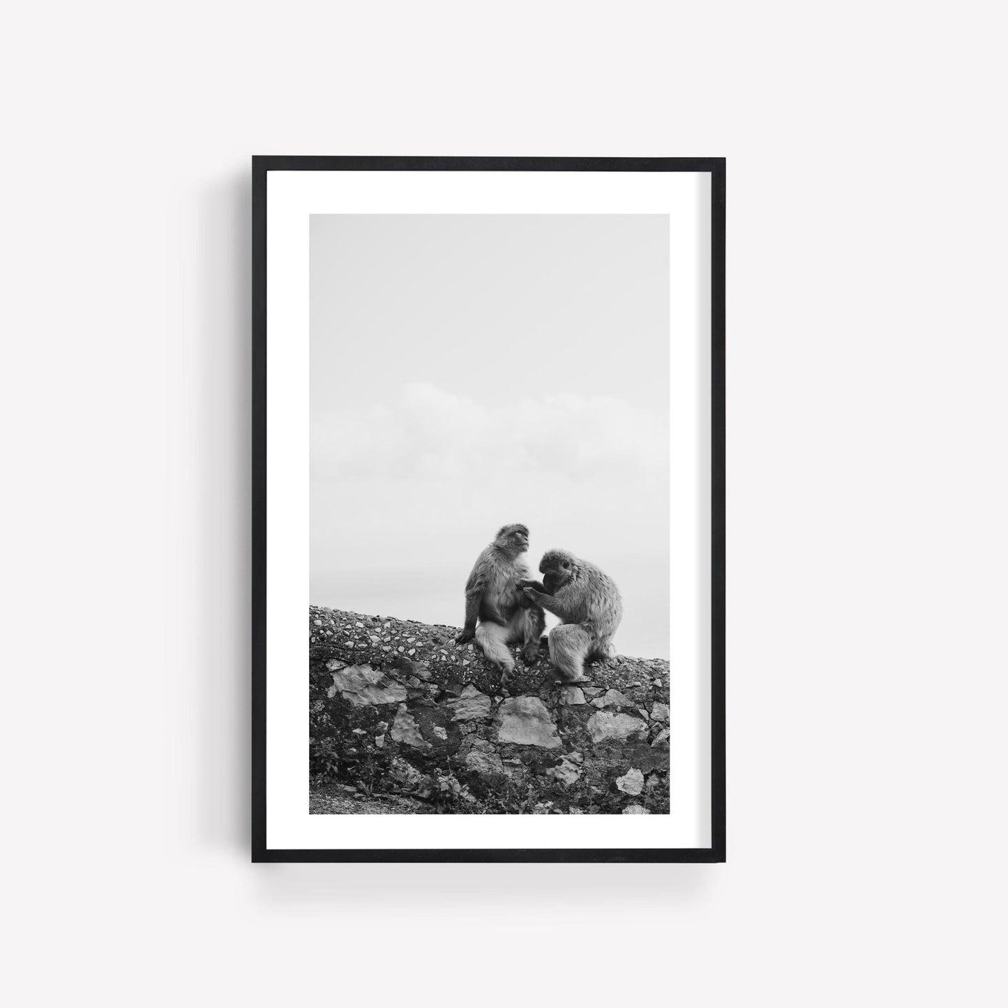 Two Monkeys Black and White framed photo: two monkeys sitting on a stone wall against a light backdrop.