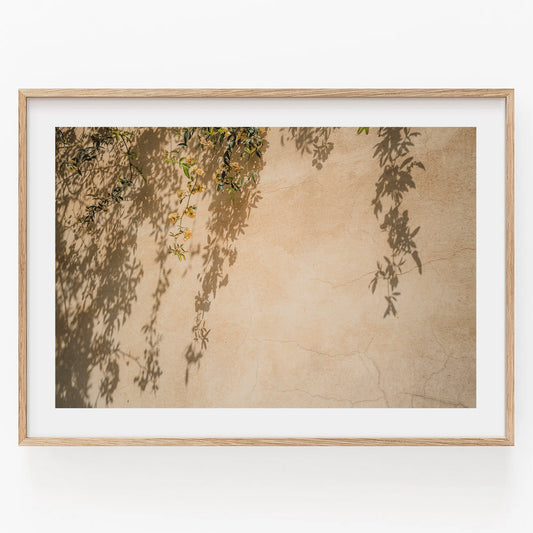 Italy Nature Photo Beige Floral Photography Italy Countryside Flowers Botanical Art Floral Gift For Her Plant Shadow Art Neutral Tone