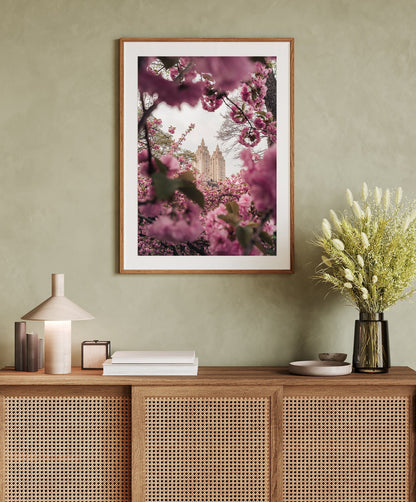 Central Park Cherryblossom Wallart Pink Flower Print NYC Cherry Blossom Photography Pink NYC Print Floral Home Decor Large Pink Wallart Gift