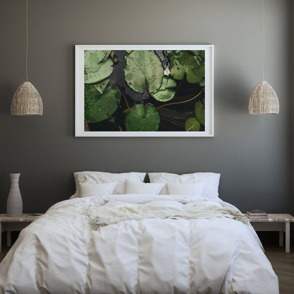 Waterlilies Olive Green Wall Art Botanical Print Nature Inspired Wall Art Emerald Green Photo Water Lily Fine Art Photography Large Framed