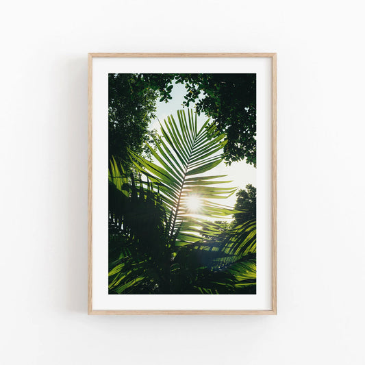Green Leaf Photo Palm Plant Print Earthy Wall Art Fine Art Photography Natured Inspired Wall Art Olive Green Photo Dark Green Wall Art Calm