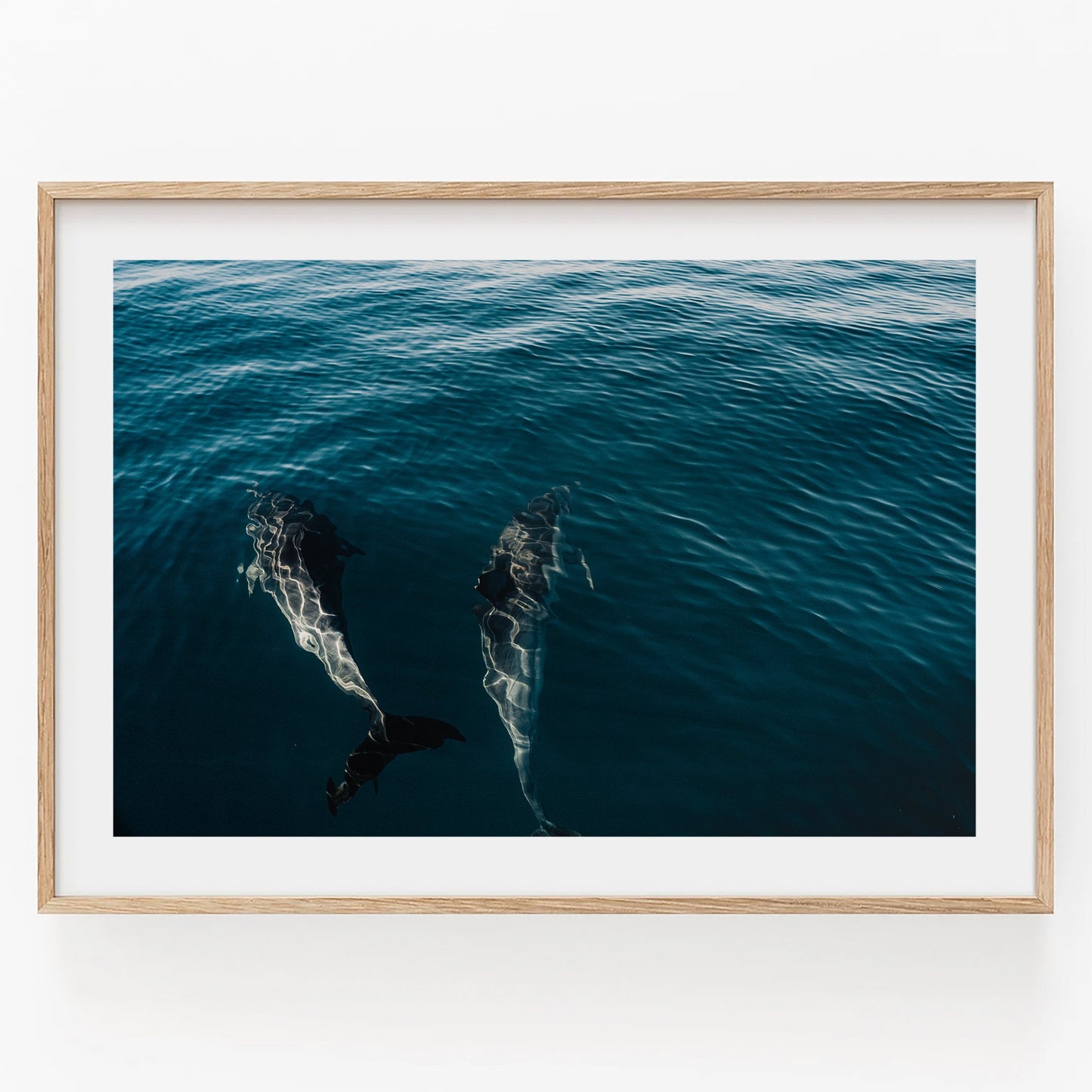 Dolphins Underwater Minimalist Ocean Art Water Ripples Dolphins Print San Diego Teal Blue Ocean Deep Sea Art Photography Wall Art Framed Sea